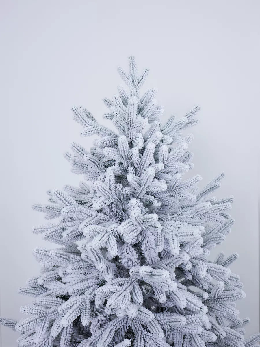 Verschneiter Weihnachtsbaum Versailles