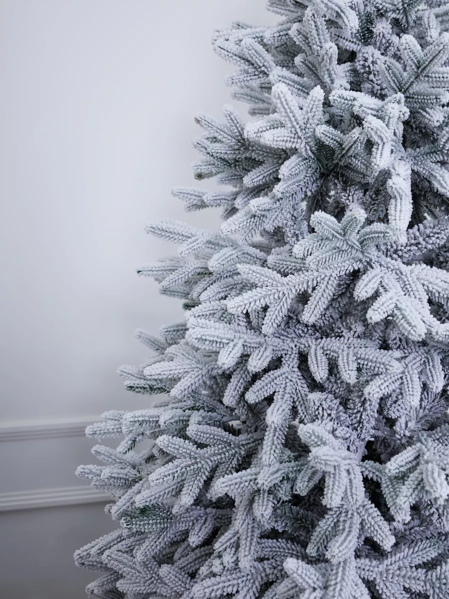 Verschneiter Weihnachtsbaum Versailles