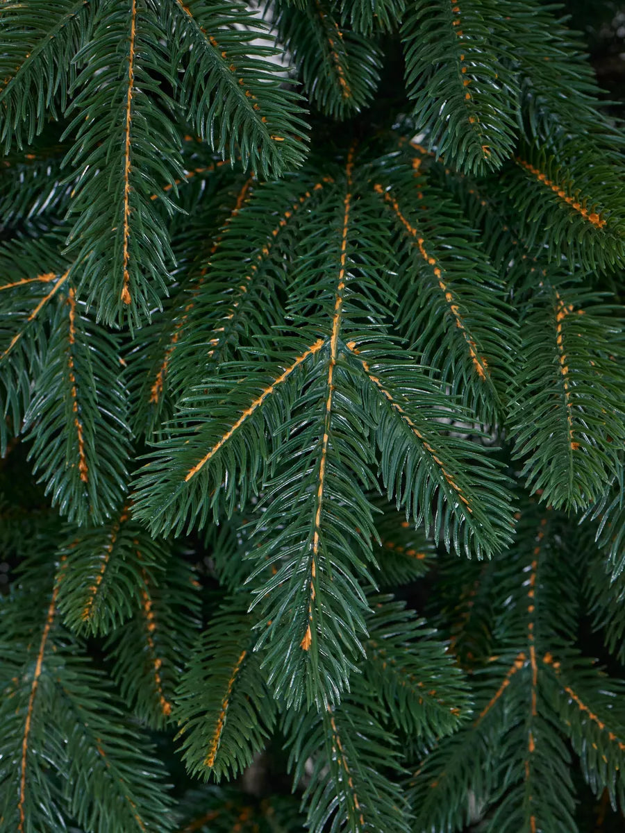 Albero di Natale Alaska
