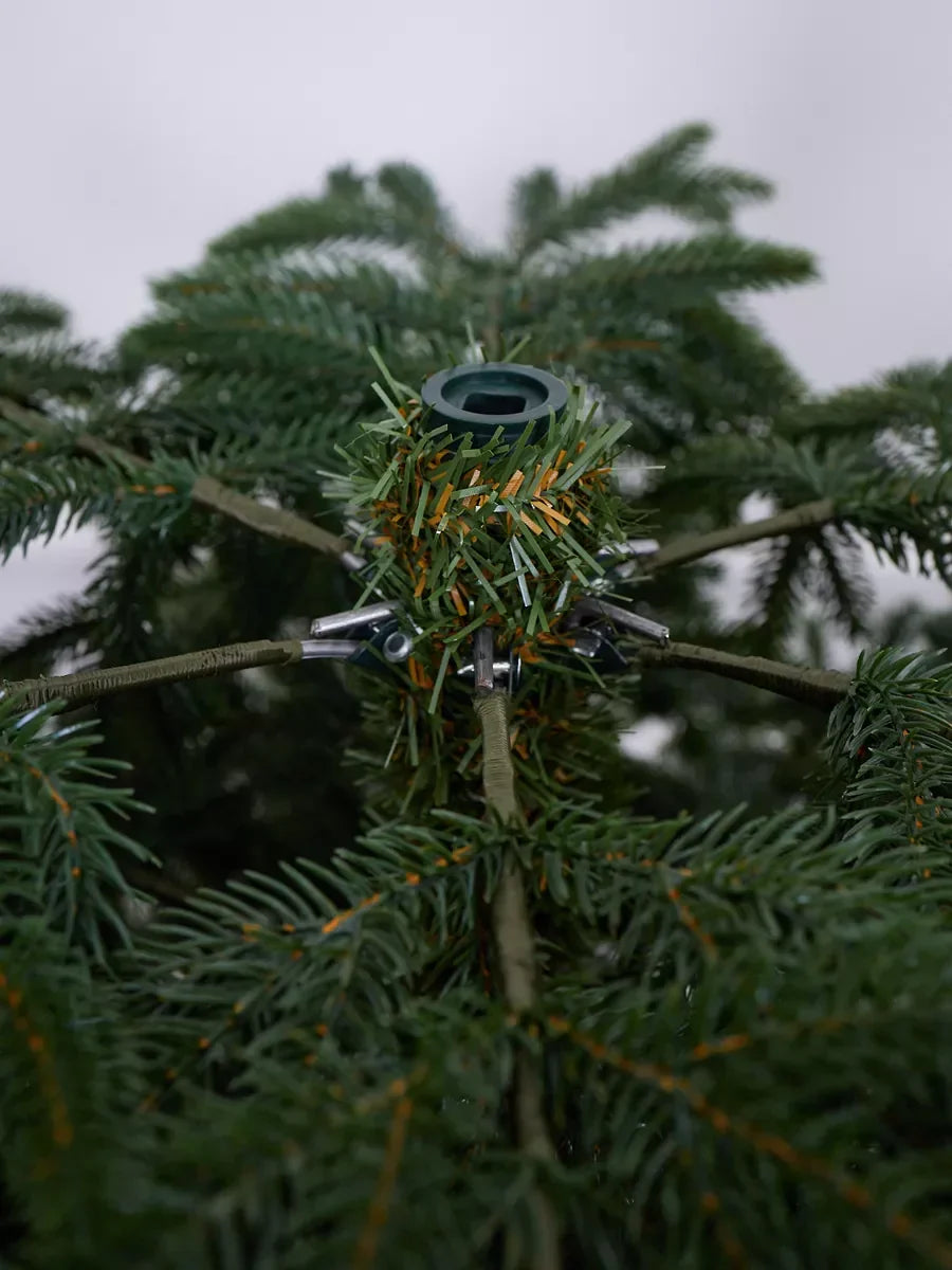 Cedar Weihnachtsbaum