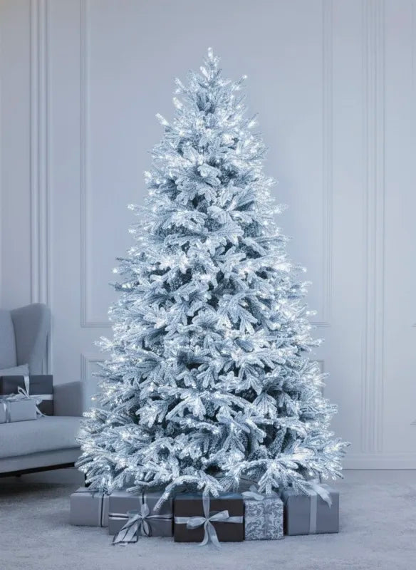 Verschneiter Weihnachtsbaum Versailles