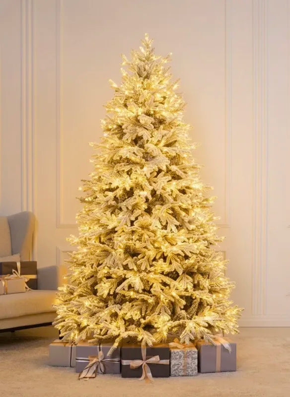 Verschneiter Weihnachtsbaum Versailles