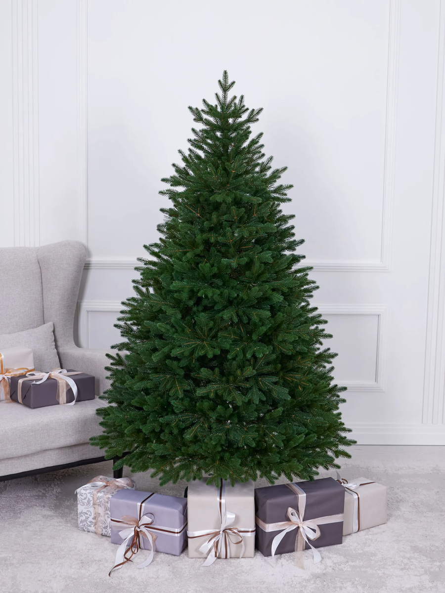 Sapin Carpates